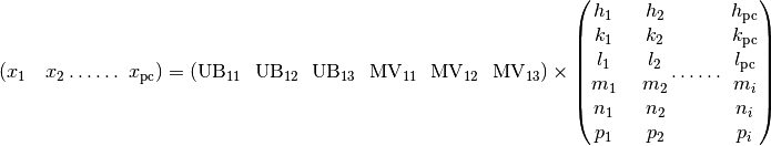 (x_{1}\text{\ \ \ }x_{2}\ldots\ldots\ x_{\text{pc}}) = \left( \text{UB}_{11}\text{\ \ }\text{UB}_{12}\text{\ \ }\text{UB}_{13}\ \text{\ MV}_{11}\ \text{\ MV}_{12\ }\text{\ MV}_{13} \right) \times \left( \begin{matrix}
\begin{matrix}
h_{1} \\
k_{1} \\
l_{1} \\
\end{matrix} \\
\begin{matrix}
m_{1} \\
n_{1} \\
p_{1} \\
\end{matrix} \\
\end{matrix}\text{\ \ \ \ }\begin{matrix}
\begin{matrix}
h_{2} \\
k_{2} \\
l_{2} \\
\end{matrix} \\
\begin{matrix}
m_{2} \\
n_{2} \\
p_{2} \\
\end{matrix} \\
\end{matrix}\ldots\ldots\ \begin{matrix}
\begin{matrix}
h_{\text{pc}} \\
k_{\text{pc}} \\
l_{\text{pc}} \\
\end{matrix} \\
\begin{matrix}
m_{i} \\
n_{i} \\
p_{i} \\
\end{matrix} \\
\end{matrix} \right)