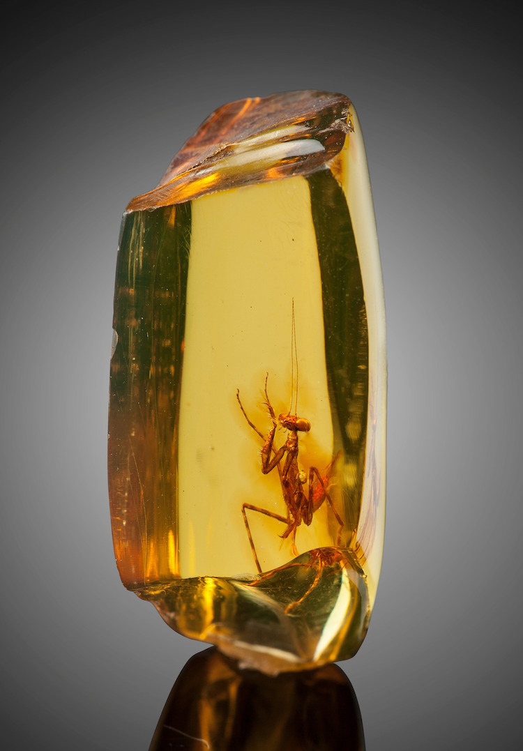 ../../_images/mantid_amber.jpeg