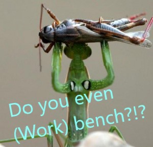 ../../_images/MantidPlotMeme.jpg